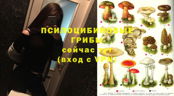 мескалин Горняк
