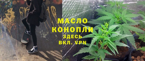 дмт Горнозаводск